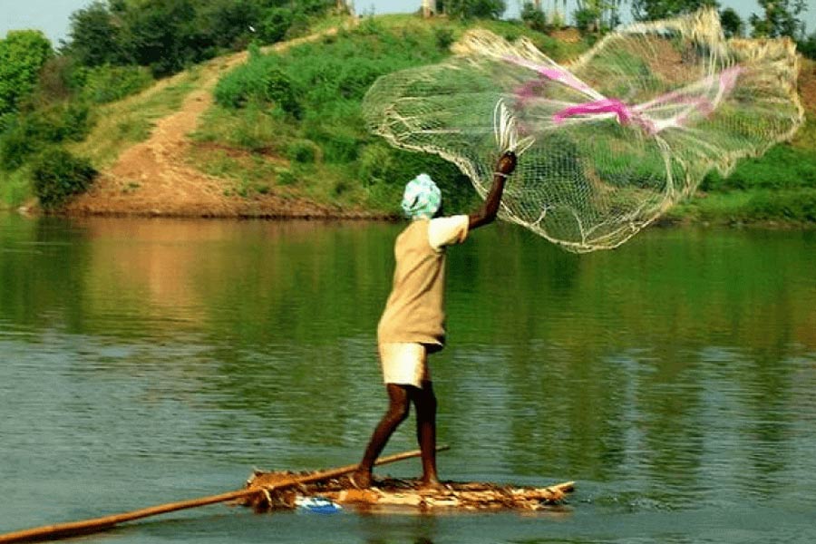 मासेमार
